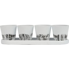 Echo Pot Hitit Serisi Sülün Beyaz Siyah 4 Lü Saksı Seti