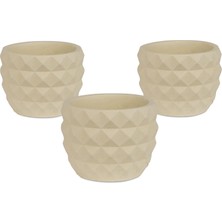 Echo Pot Turna Serisi Limon Sarısı Saksı 3 Adet
