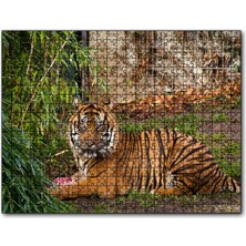 Cakapuzzle Hayvanat Bahçesinde Kaplan 120 Parça Puzzle Yapboz Mdf (Ahşap)