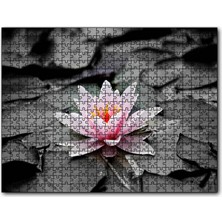 Cakapuzzle Siyah Beyaz Lotus Yaprakları ve Pembe Nilüfer Çiçeği 120 Parça Puzzle Yapboz Mdf (Ahşap)