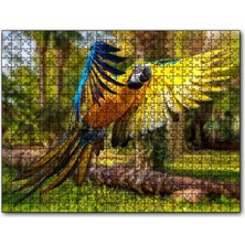 Cakapuzzle Papağan Mavi Turuncu Sarı Ormanda Uçuyor 120 Parça Puzzle Yapboz Mdf (Ahşap)