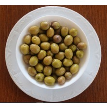 İdea Pazar Tüplü Çil Topak Tavşan Yüreği Zeytin Fidanı