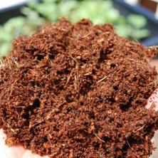 İdea Pazar Özel Karışım Kaktüs ve Sukulent Toprağı (2 Litre)