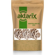 Aktarix 2'li Meryam Ana Fatma Ana Eli Otu