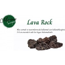 Marimo Scape Lava Rocks