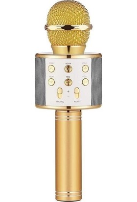 Wster Ws-858 Karaoke Mikrofon Bluetooth Hoparlör Aux Usb Mikro Sd Kart Girişli