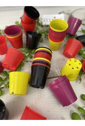 Elysian Üretim Saksı 30 Adet Küçük Kaktüs Sukulent Üretim Saksısı 5,5x5 cm Rengarenk Renkli Plastik Saksı