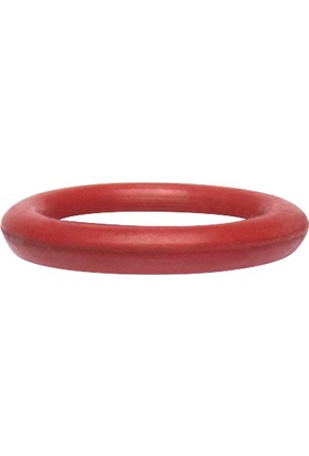 Iwata - Hava Valfi O-Ring Kırmızı