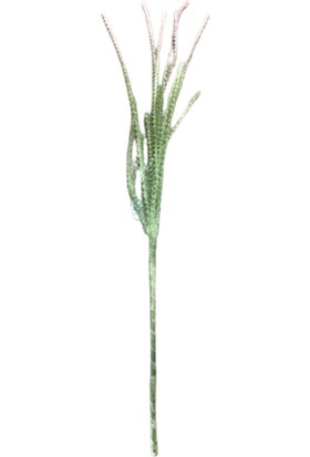 Nina Yeşil Pembe Geçişli Ara Dal 100 cm Yapay Çiçek