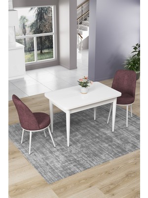 Canisa Concept Nil Serisi 70 x 110 cm Sabit Beyaz Mutfak Masa Takımı+2 Adet Sandalye