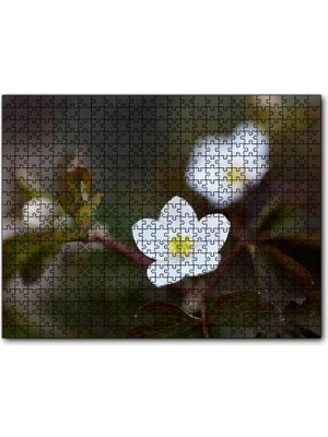 Caka Tablo Cakapuzzle Beyaz Kırmızı Şarap Üzüm Şarap Küpü Görseli 120 Parça Puzzle Yapboz Mdf (Ahşap)