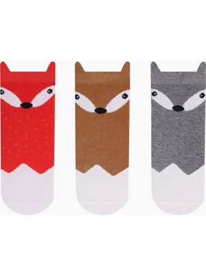 BRZ Collection 3D Tilki Desenli Erkek Çocuk Çorabı 3lü Set