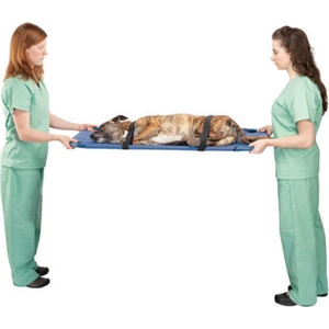 Köpek Taşıma Sedyesi