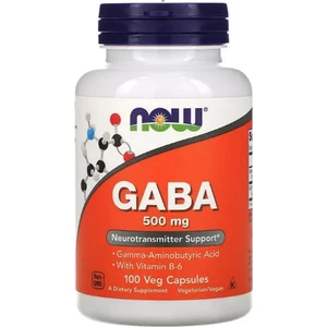 Foods Gaba 500MG 100 Veg Capsul. USA
