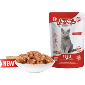Kedi Yetişkin Sığır Etli Islak Mama 85 gr 48'li