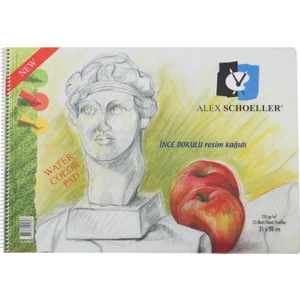 Alex Schoeller Resim ve Eskiz Çizim Defteri 120 gr 35 x 50 cm 25 Yp.