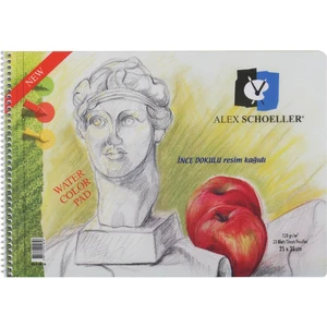 Alex Schoeller Pp Kapak Resim ve Eskiz Çizim Defteri 120 gr 25 x 35 cm 25 Yp.