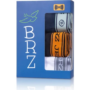 BRZ Collection Erkek Çocuk 3'lü Boxer Set