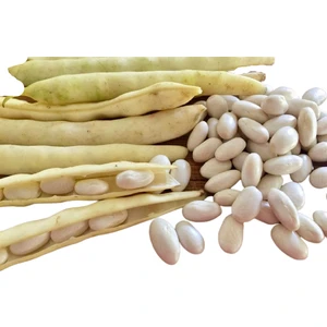 Sebze Meyve Dünyası Badala Fsulyesi 1 kg