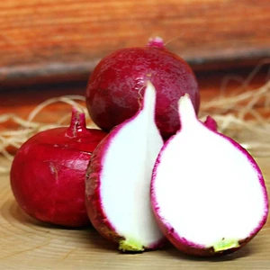 İdea Pazar Iri Kırmızı Turp Tohumu (550 Tohum)