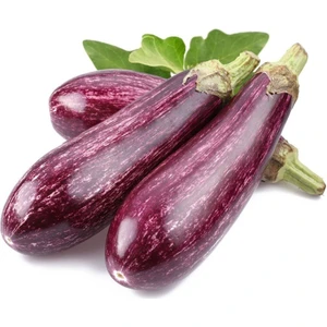 İdea Pazar Ala Çizgili F1 Patlıcan Tohumu (20 Adet)