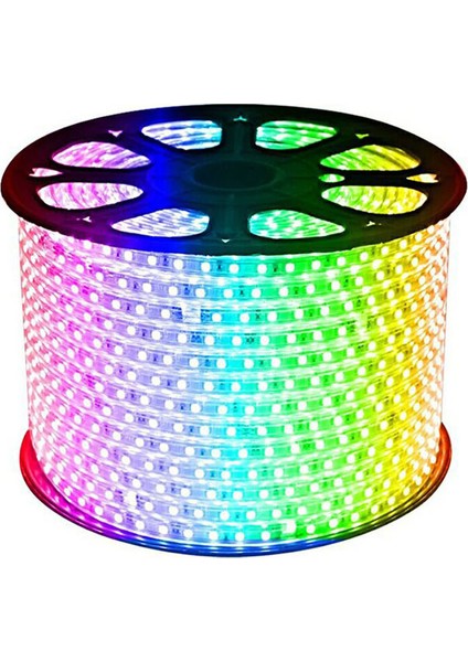 Kare Işıklı Hortum Şerit LED Işık 3 Çip 5050 100 M Rgb