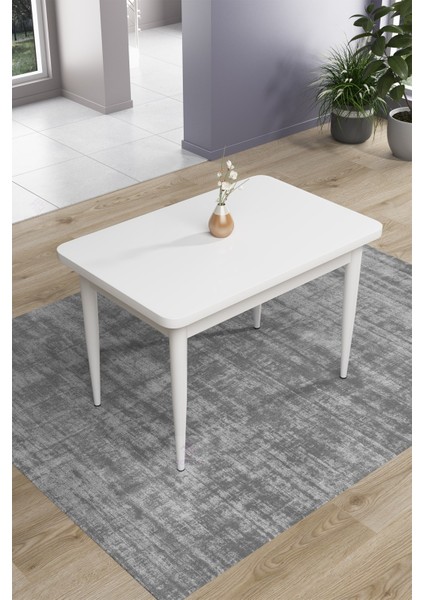 Concept Nil Serisi 70 x 110 cm Sabit Beyaz Mutfak Masa Takımı+2 Adet Sandalye fiyatları
