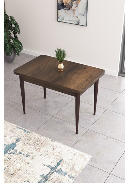 Concept Nil Serisi 70 x 110 cm Sabit Barok Ahşap Desen Mutfak Masa Takımı+4 Adet Sandalye fiyatları