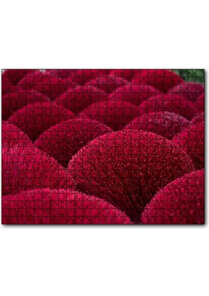 Kırmızı Dekoratif Küresel Objeler 120 Parça Puzzle Yapboz Mdf (Ahşap)