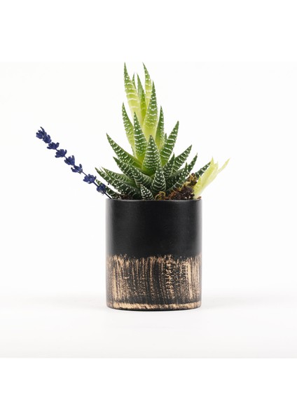 Büyük Akad Siyah Altın Saksı fırsatları