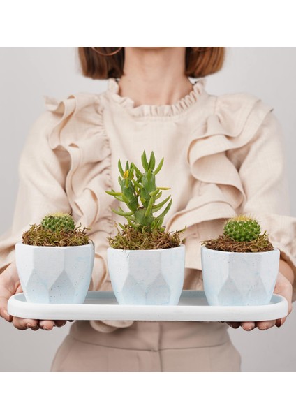 Eti Serisi Ebabil Mavi 3 Lü Saksı Seti modelleri