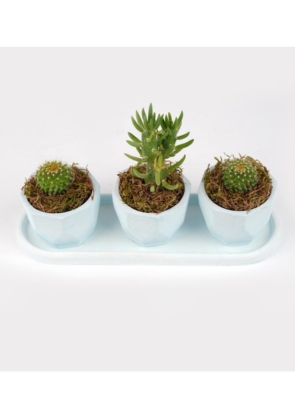 Eti Serisi Ebabil Mavi 3 Lü Saksı Seti indirimleri