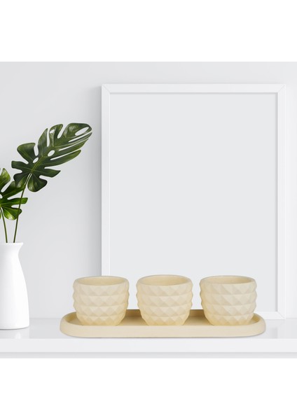 Eti Serisi Turna Limon Sarısı 3 Lü Saksı Seti