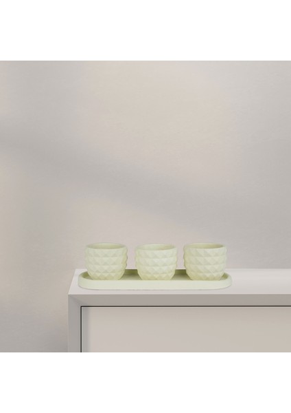 Eti Serisi Turna Su Yeşili 3 Lü Saksı Seti