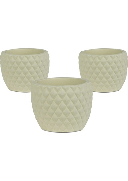 Fiyu Serisi Su Yeşili Saksı 3 Adet fiyatları