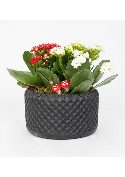 Gordion Serisi Siyah Saksı modelleri