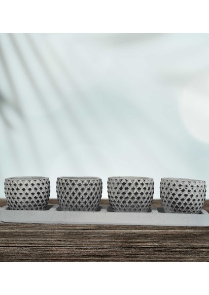 Hitit Fiyu Beyaz Siyah 4 Lü Saksı Seti