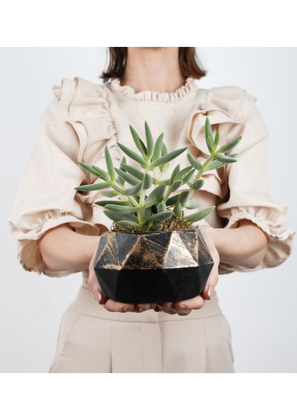 Likya Serisi Üst Siyah Altın Prizma Saksı modelleri