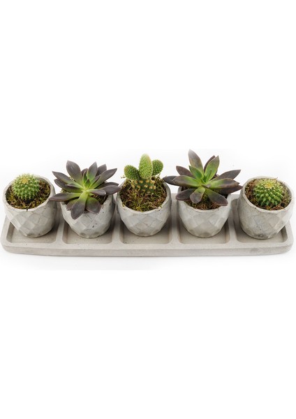 Sümer Serisi Sumru Gri 5 Li Saksı Seti fırsatları