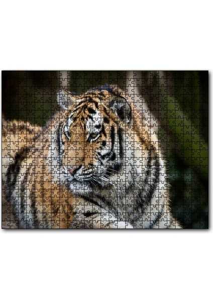 Kaplan Hayvanat Bahçesi Yakın Çekim 120 Parça Puzzle Yapboz Mdf (Ahşap)