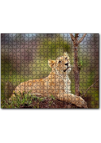 Dişi Genç Aslan 1000 Parça Puzzle Yapboz Mdf(Ahşap)