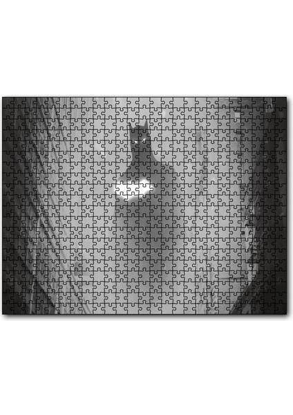 Batman Bloklar Arasında Monochrome Artwork 1000 Parça Puzzle Yapboz Mdf(Ahşap)