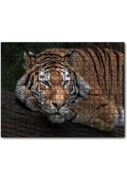 Sibirya Kaplanı Dalda Dinleniyor 120 Parça Puzzle Yapboz Mdf (Ahşap)