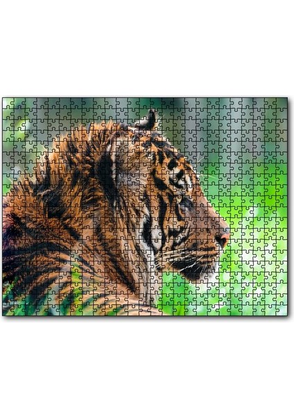 Sumatra Kaplanı Yakın Plan 120 Parça Puzzle Yapboz Mdf (Ahşap)