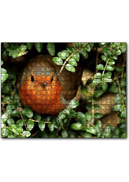 Yeşil Yapraklar Arasındaki Kızıl Kuş 1000 Parça Puzzle Yapboz Mdf(Ahşap)