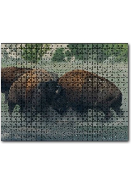 Toslaşan Bizonlar 255 Parça Puzzle Yapboz Mdf (Ahşap)