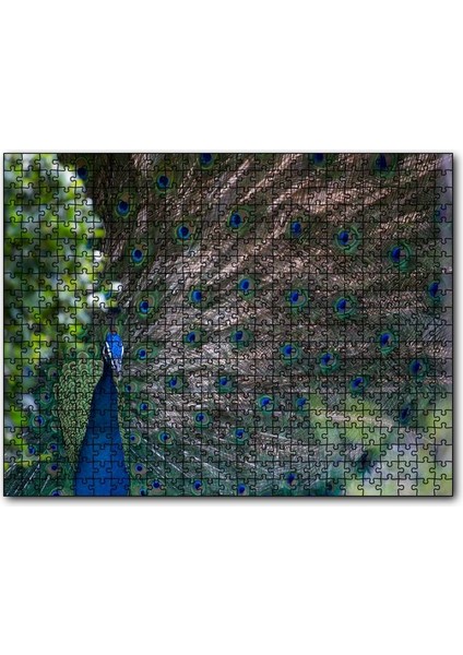 Tavuskuşu ve Harikulade Tüyleri 120 Parça Puzzle Yapboz Mdf (Ahşap)