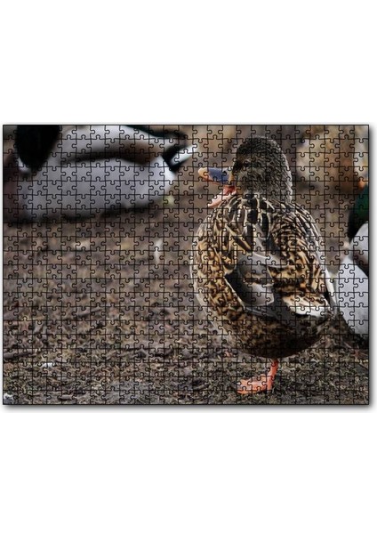 Tek Ayak Üzerinde Duran Ördek Yavrusu 1000 Parça Puzzle Yapboz Mdf(Ahşap)