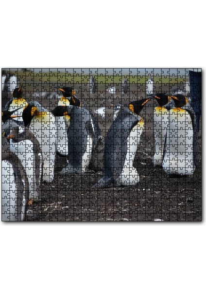 Cakapuzzle Imparator Penguenleri ve Yavru 255 Parça Puzzle Yapboz Mdf (Ahşap)