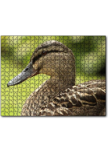 Kahverengi Ördek Yakın Plan 500 Parça Puzzle Yapboz Mdf (Ahşap)